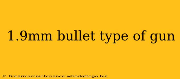 1.9mm bullet type of gun