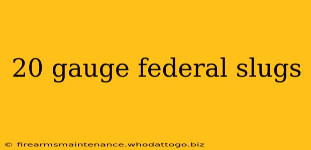 20 gauge federal slugs