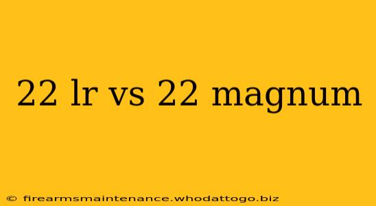 22 lr vs 22 magnum