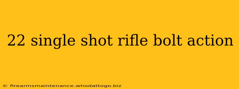 22 single shot rifle bolt action