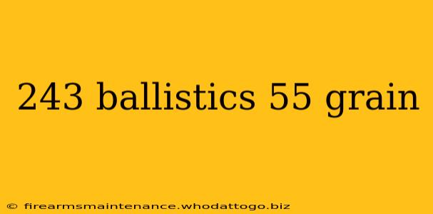 243 ballistics 55 grain