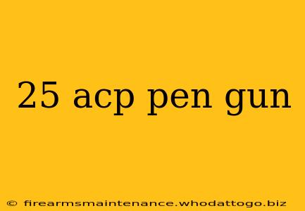 25 acp pen gun