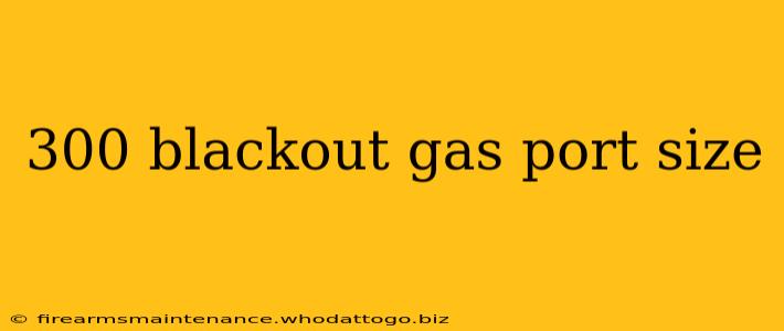 300 blackout gas port size