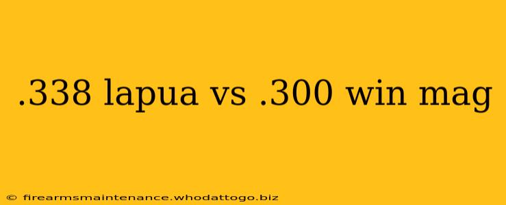 .338 lapua vs .300 win mag