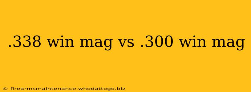 .338 win mag vs .300 win mag