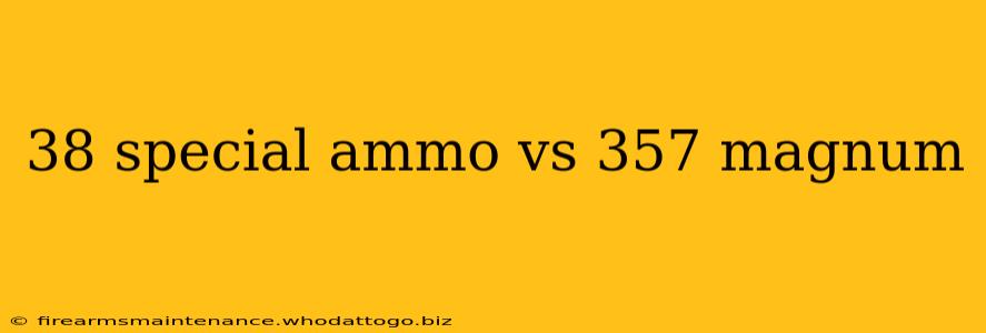 38 special ammo vs 357 magnum