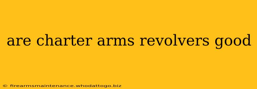 are charter arms revolvers good