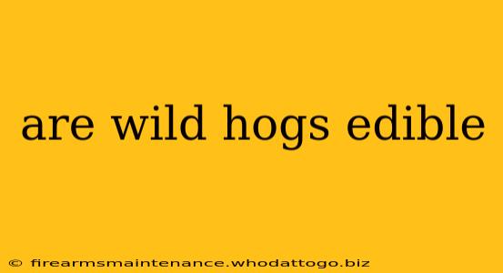 are wild hogs edible