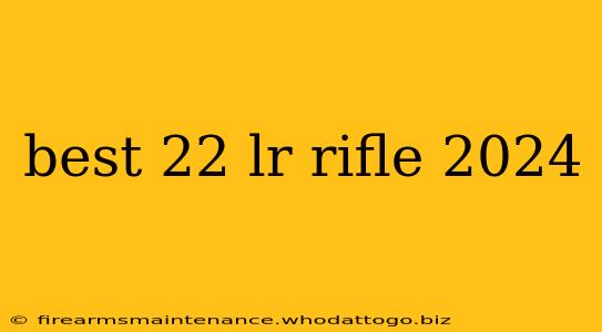 best 22 lr rifle 2024