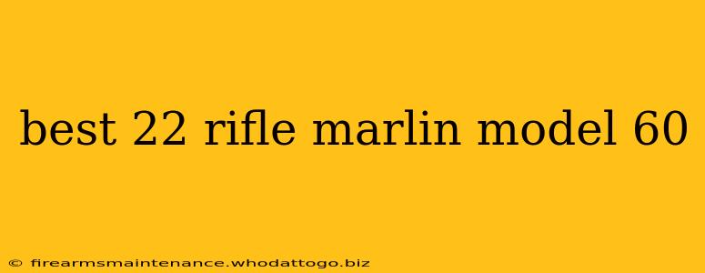 best 22 rifle marlin model 60