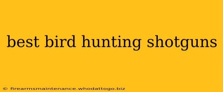 best bird hunting shotguns