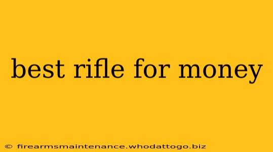 best rifle for money