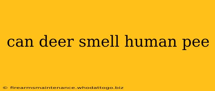 can deer smell human pee