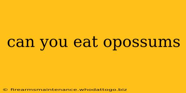 can you eat opossums