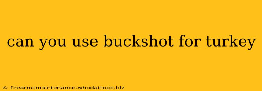 can you use buckshot for turkey