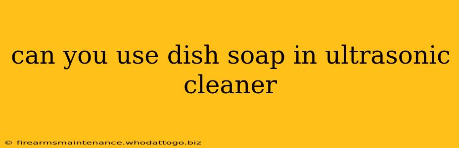 can you use dish soap in ultrasonic cleaner