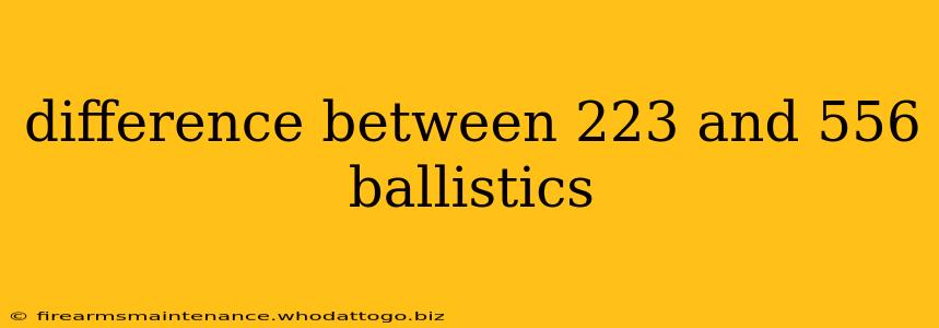 difference between 223 and 556 ballistics