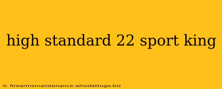 high standard 22 sport king