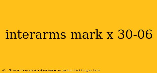 interarms mark x 30-06