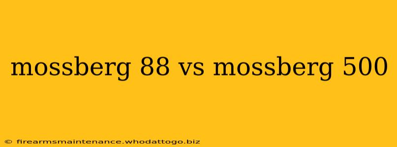 mossberg 88 vs mossberg 500