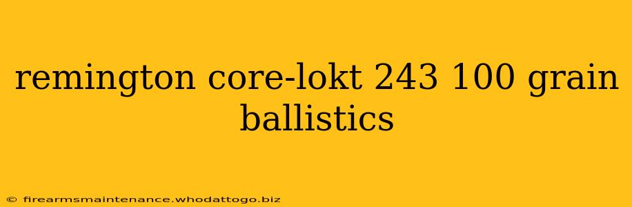 remington core-lokt 243 100 grain ballistics