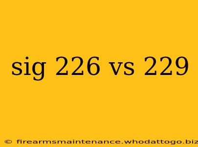 sig 226 vs 229