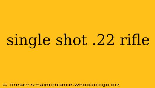 single shot .22 rifle