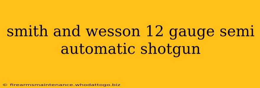 smith and wesson 12 gauge semi automatic shotgun