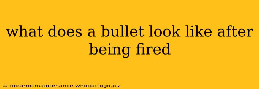 what does a bullet look like after being fired