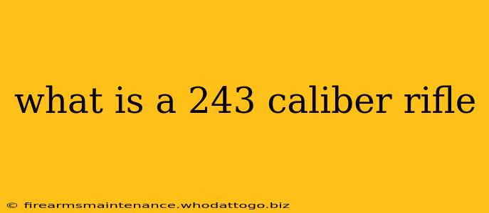 what is a 243 caliber rifle